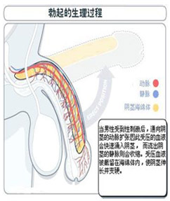 富锦北大泌尿医院